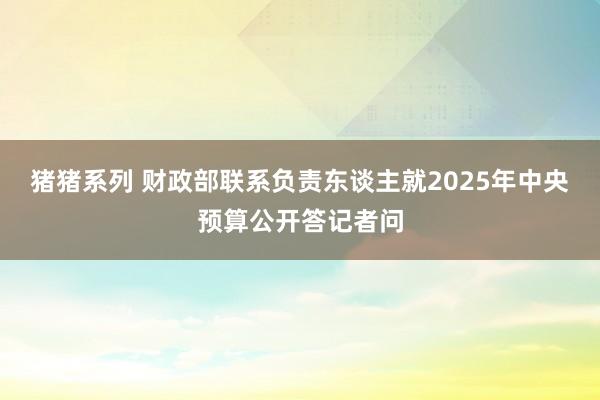 猪猪系列 财政部联系负责东谈主就2025年中央预算公开答记者问