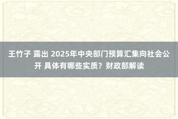 王竹子 露出 2025年中央部门预算汇集向社会公开 具体有哪些实质？财政部解读