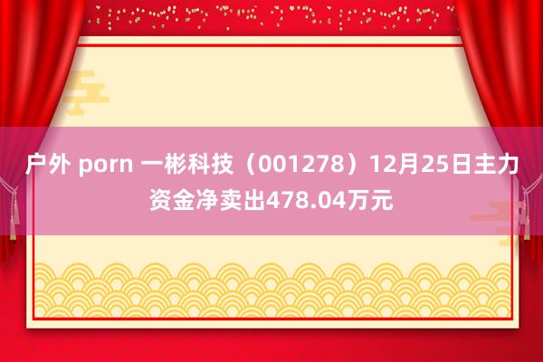 户外 porn 一彬科技（001278）12月25日主力资金净卖出478.04万元