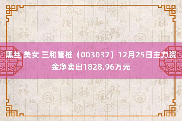 黑丝 美女 三和管桩（003037）12月25日主力资金净卖出1828.96万元