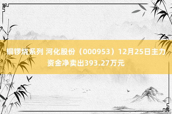 铜锣烧系列 河化股份（000953）12月25日主力资金净卖出393.27万元
