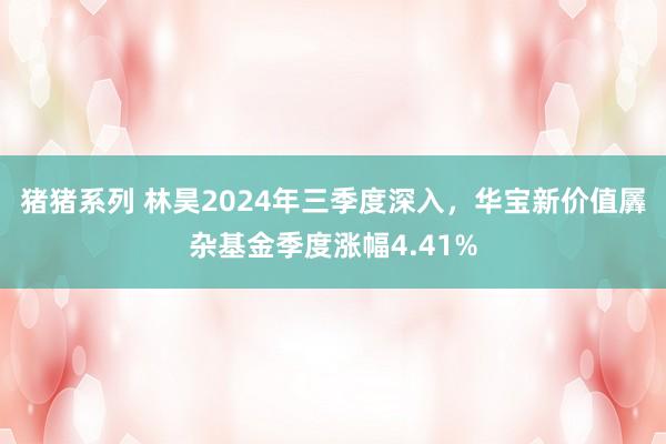 猪猪系列 林昊2024年三季度深入，华宝新价值羼杂基金季度涨幅4.41%