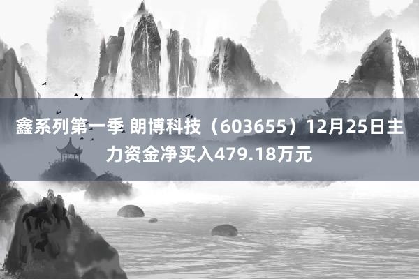 鑫系列第一季 朗博科技（603655）12月25日主力资金净买入479.18万元