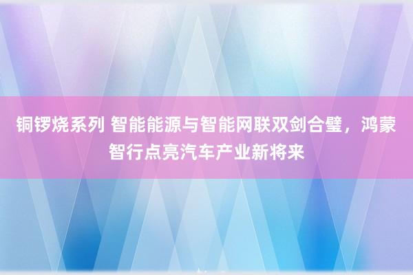 铜锣烧系列 智能能源与智能网联双剑合璧，鸿蒙智行点亮汽车产业新将来