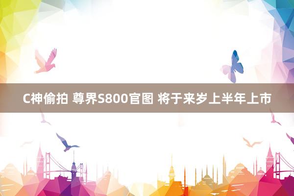 C神偷拍 尊界S800官图 将于来岁上半年上市