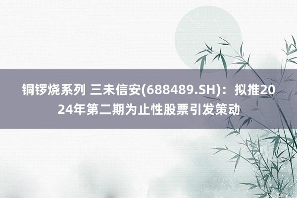 铜锣烧系列 三未信安(688489.SH)：拟推2024年第二期为止性股票引发策动