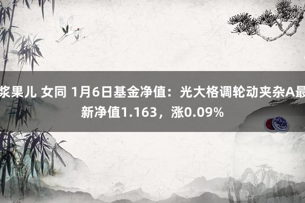浆果儿 女同 1月6日基金净值：光大格调轮动夹杂A最新净值1.163，涨0.09%