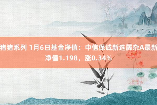 猪猪系列 1月6日基金净值：中信保诚新选羼杂A最新净值1.198，涨0.34%