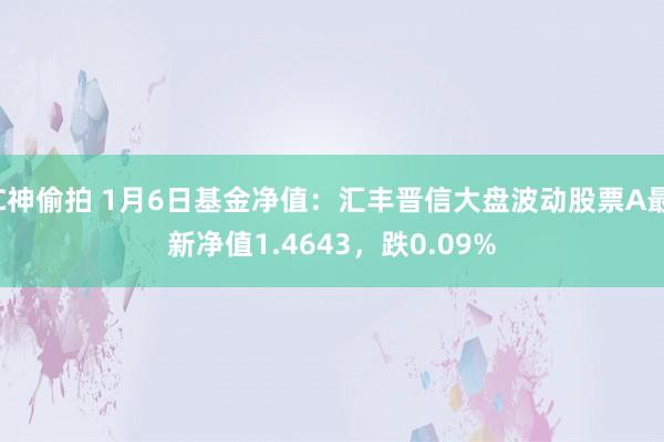 C神偷拍 1月6日基金净值：汇丰晋信大盘波动股票A最新净值1.4643，跌0.09%