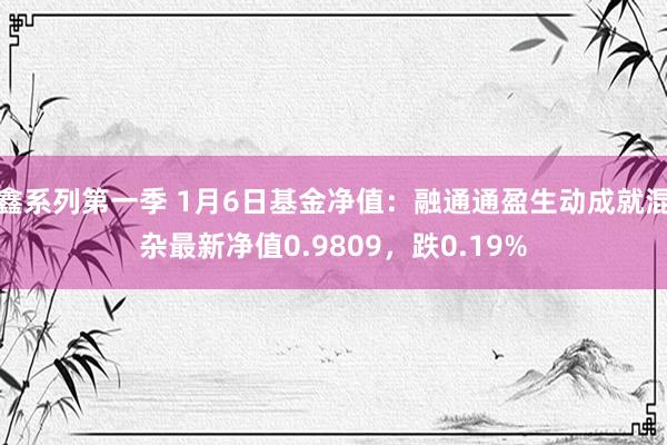 鑫系列第一季 1月6日基金净值：融通通盈生动成就混杂最新净值0.9809，跌0.19%