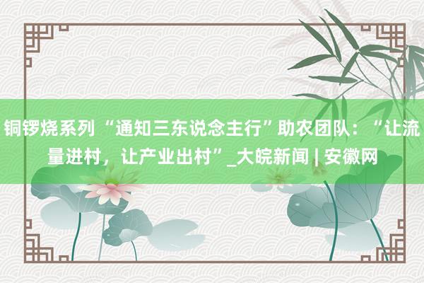 铜锣烧系列 “通知三东说念主行”助农团队：“让流量进村，让产业出村”_大皖新闻 | 安徽网