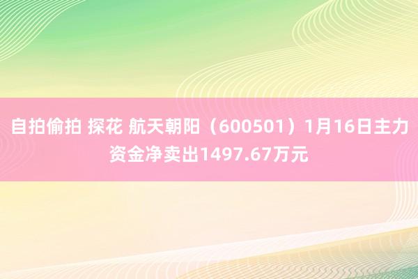 自拍偷拍 探花 航天朝阳（600501）1月16日主力资金净卖出1497.67万元