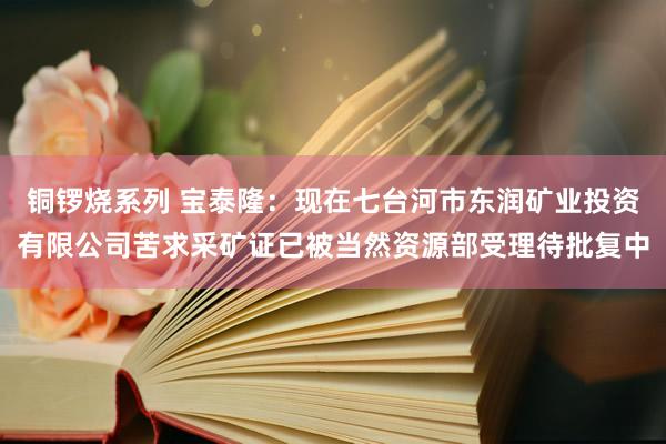铜锣烧系列 宝泰隆：现在七台河市东润矿业投资有限公司苦求采矿证已被当然资源部受理待批复中