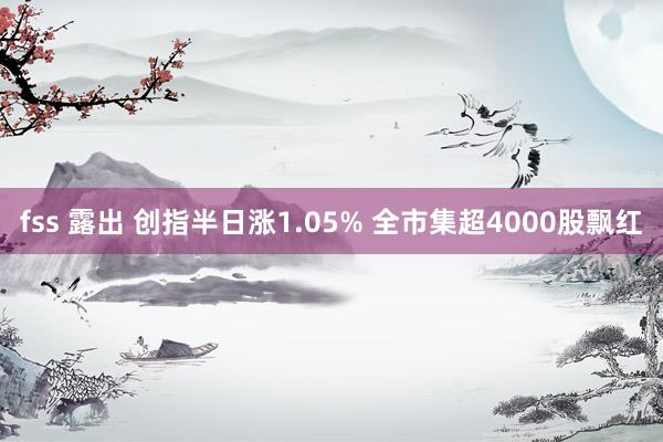 fss 露出 创指半日涨1.05% 全市集超4000股飘红