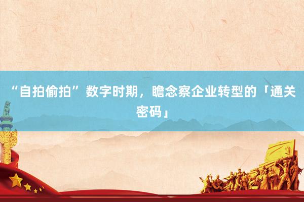 “自拍偷拍” 数字时期，瞻念察企业转型的「通关密码」
