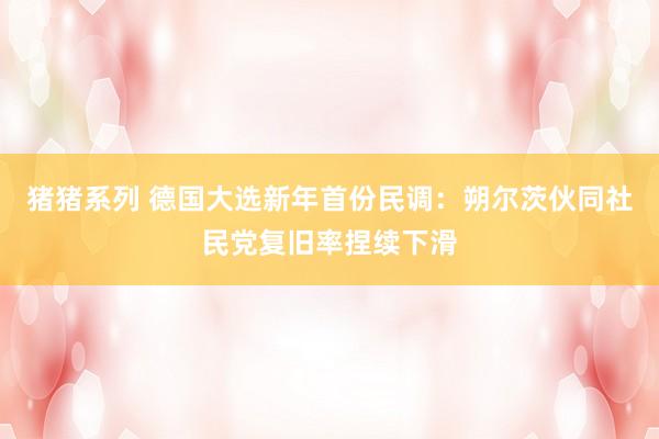 猪猪系列 德国大选新年首份民调：朔尔茨伙同社民党复旧率捏续下滑