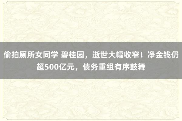 偷拍厕所女同学 碧桂园，逝世大幅收窄！净金钱仍超500亿元，债务重组有序鼓舞