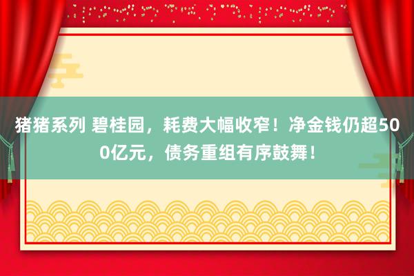 猪猪系列 碧桂园，耗费大幅收窄！净金钱仍超500亿元，债务重组有序鼓舞！
