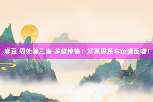 麻豆 周处除三害 多款停售！好意思系车企遭反噬！
