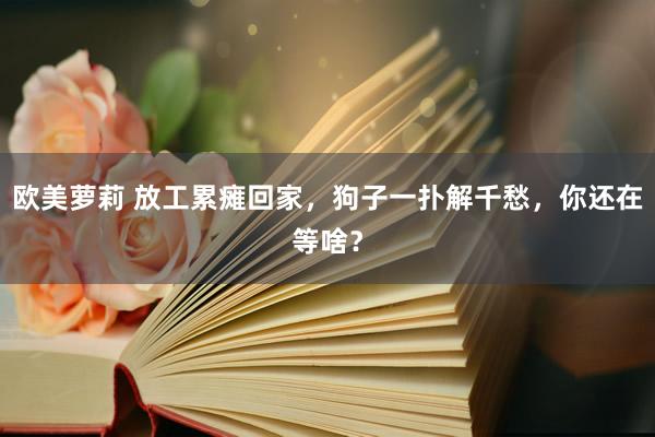 欧美萝莉 放工累瘫回家，狗子一扑解千愁，你还在等啥？
