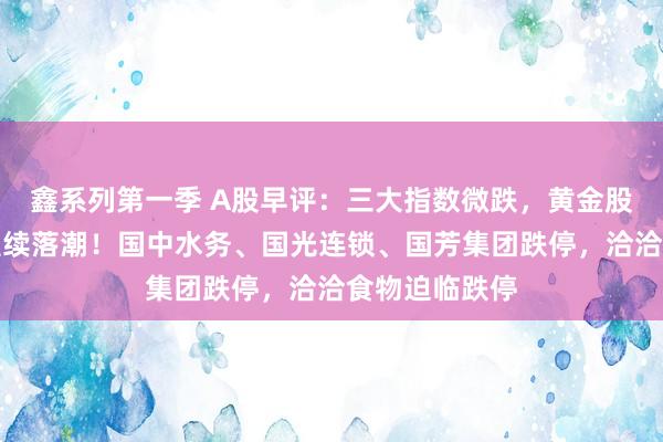 鑫系列第一季 A股早评：三大指数微跌，黄金股反弹高位股握续落潮！国中水务、国光连锁、国芳集团跌停，洽洽食物迫临跌停