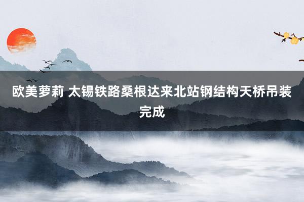 欧美萝莉 太锡铁路桑根达来北站钢结构天桥吊装完成