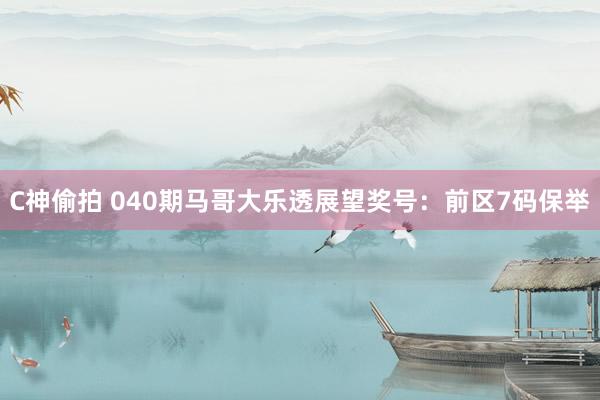 C神偷拍 040期马哥大乐透展望奖号：前区7码保举